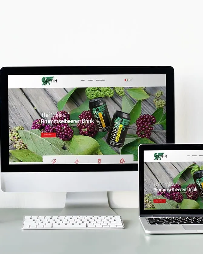 Griffin Energy — Product Concept